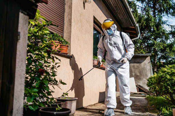 Best Pest Control Near Me  in Rush Springs, OK