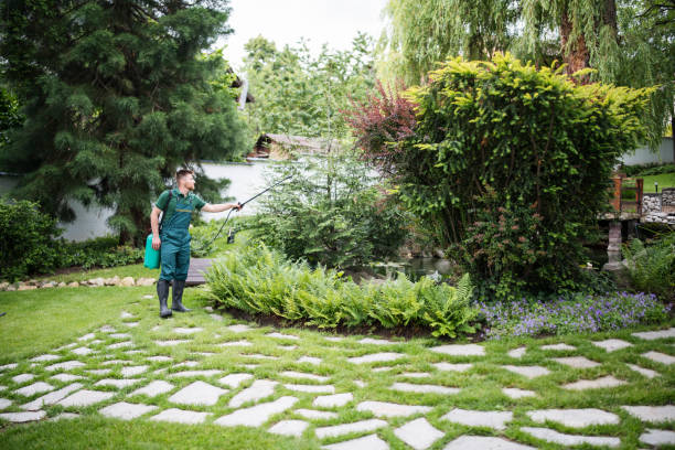 Best Best Pest Control Companies  in Rush Springs, OK
