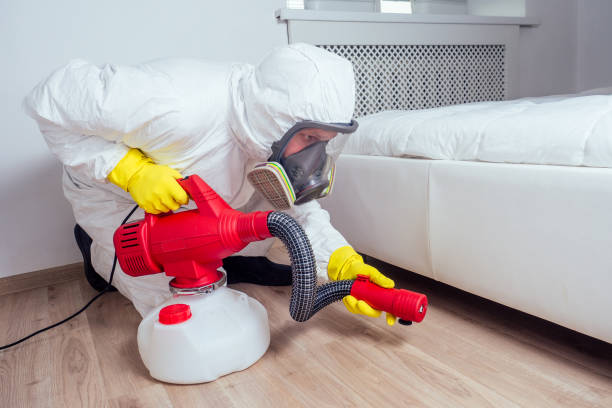 Best Pest Control Near Me in Rush Springs, OK