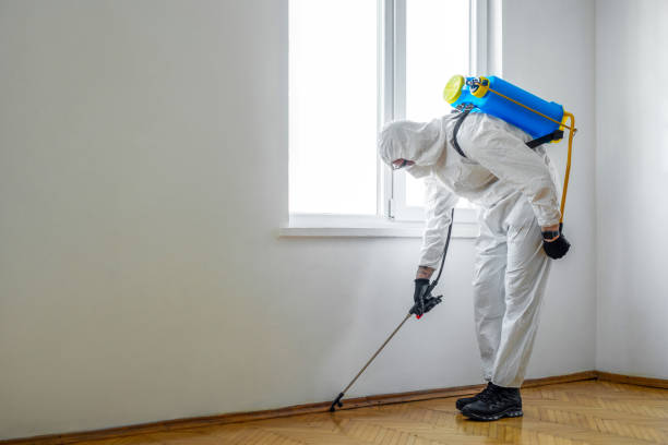 Best Rat Extermination Near Me  in Rush Springs, OK