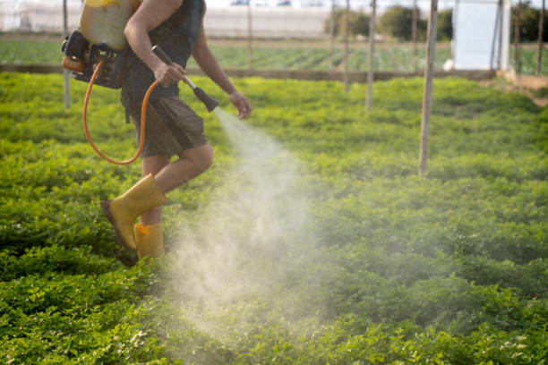 Best Pest Removal Services  in Rush Springs, OK
