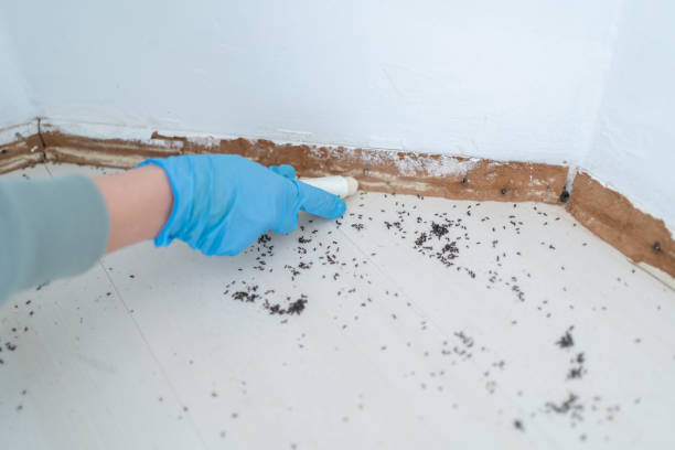 Trusted Rush Springs, OK Pest Control Experts