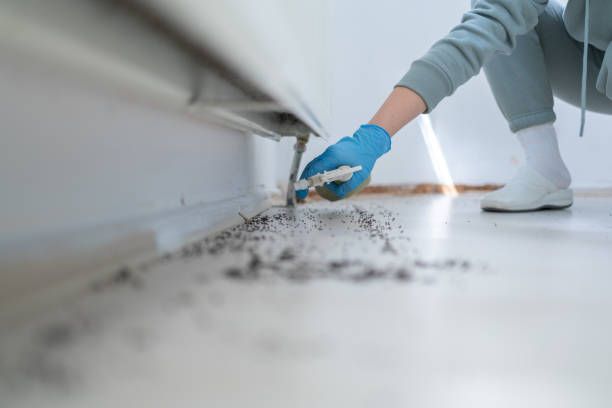 Best Cockroach Control Services  in Rush Springs, OK